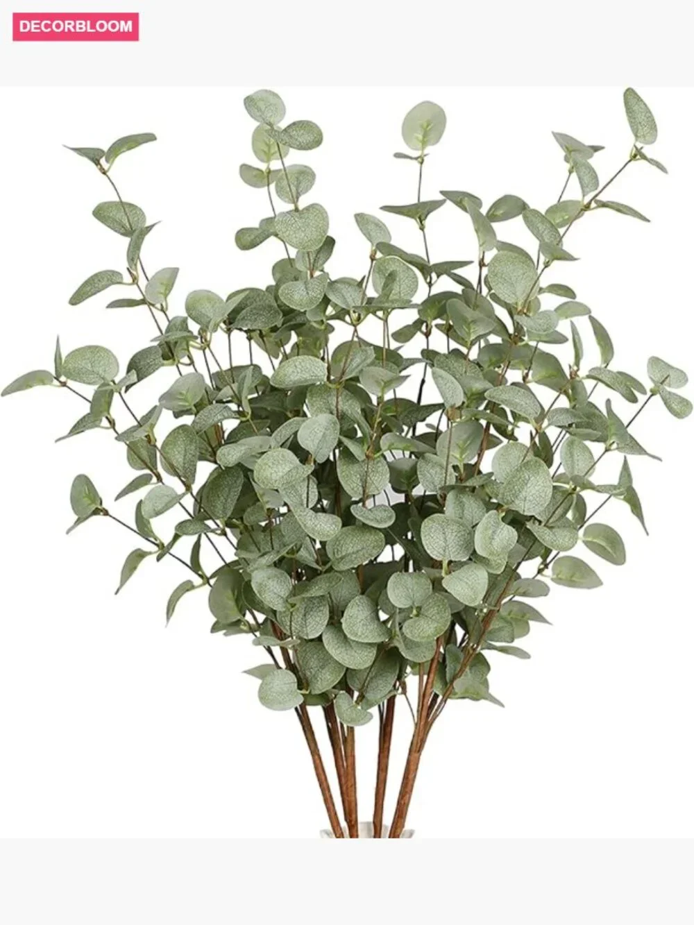 6 Stems 27